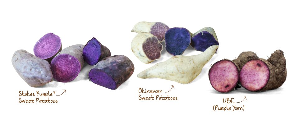 The Ultimate Purple Sweet Potato Guide | Frieda's Inc. – The Specialty ...